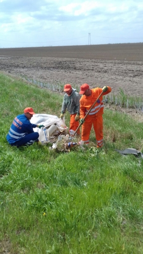 Lucrari de igienizare DN21 km 10-11 Albina-Unirea