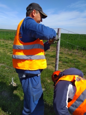 Ridicat si repozitionat gard de protecție A2 Cale 2 km 189 - km 192