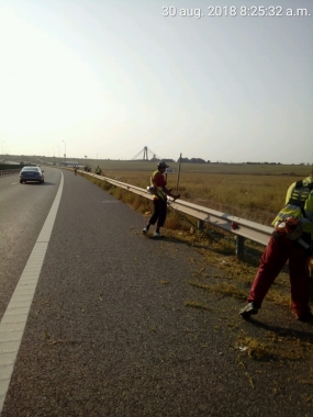 Estetica rutieră- cosit manual si strâns iarba A4 cale 1 km 18 - km 19