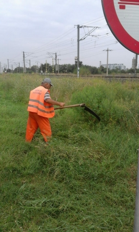 Igienizare zona drum si cosit vegetatie DN3A km 70-72 jud. Ialomita