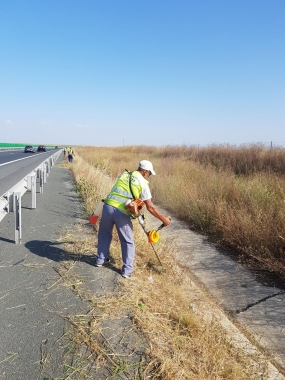 Estetica rutieră- cosit manual in zona parapetului direcțional A2 c1 km 175- km 185